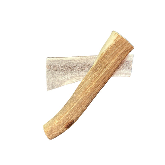 BARF World Jumbo Elk Antler Single