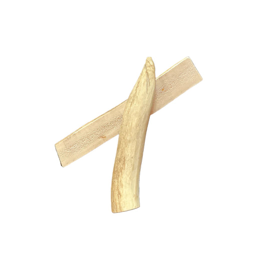 BARF World Medium Elk Antlers Single