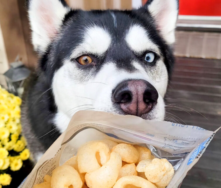 Frankly Beefy Puffs 5oz