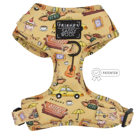 Sassy Woof - Friends adjustable harness