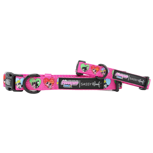 Power Puff Collar