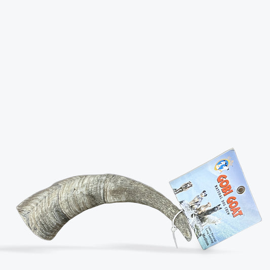 QT Dog - Gobi Goat Horn