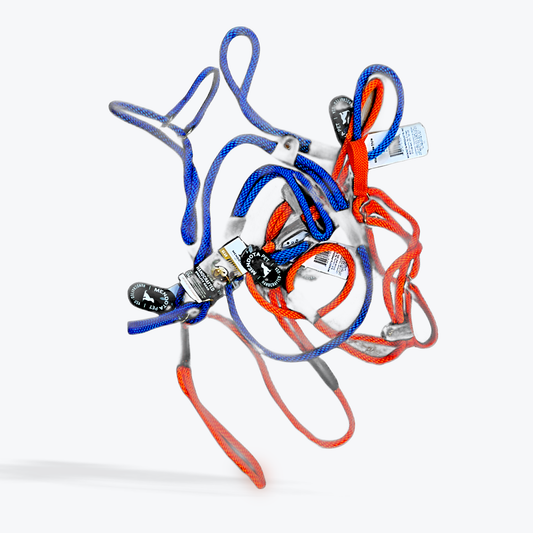 Mendota Pet - Dog Walker 3/8” x 4’